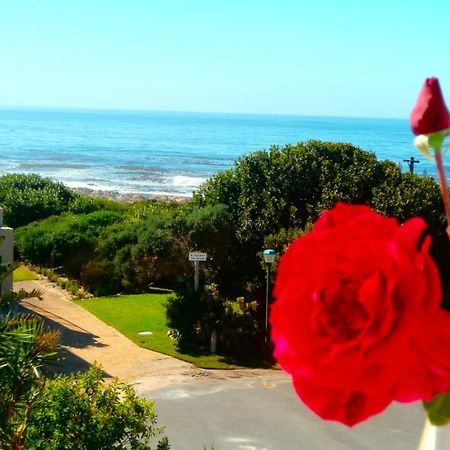 Belle Vue Guesthouse Hermanus Bagian luar foto