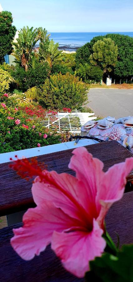 Belle Vue Guesthouse Hermanus Bagian luar foto