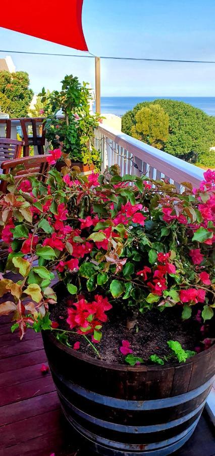Belle Vue Guesthouse Hermanus Bagian luar foto