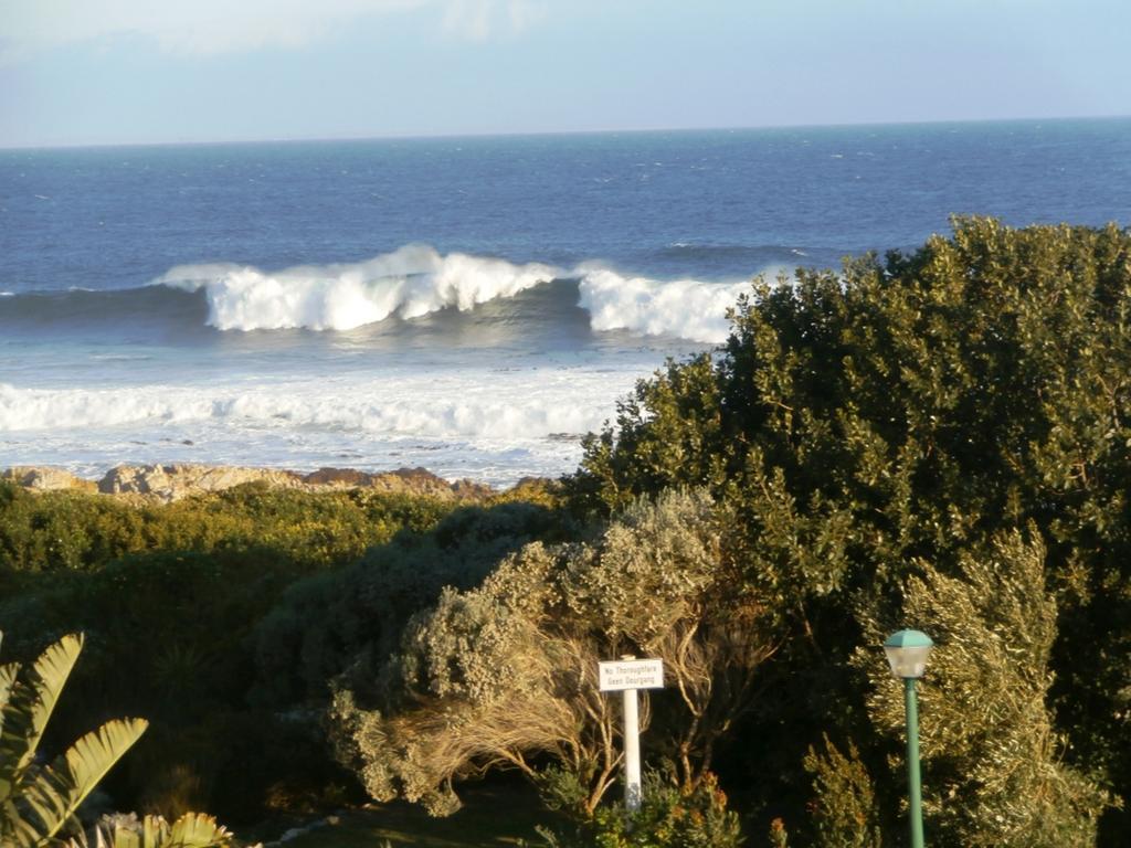 Belle Vue Guesthouse Hermanus Bagian luar foto