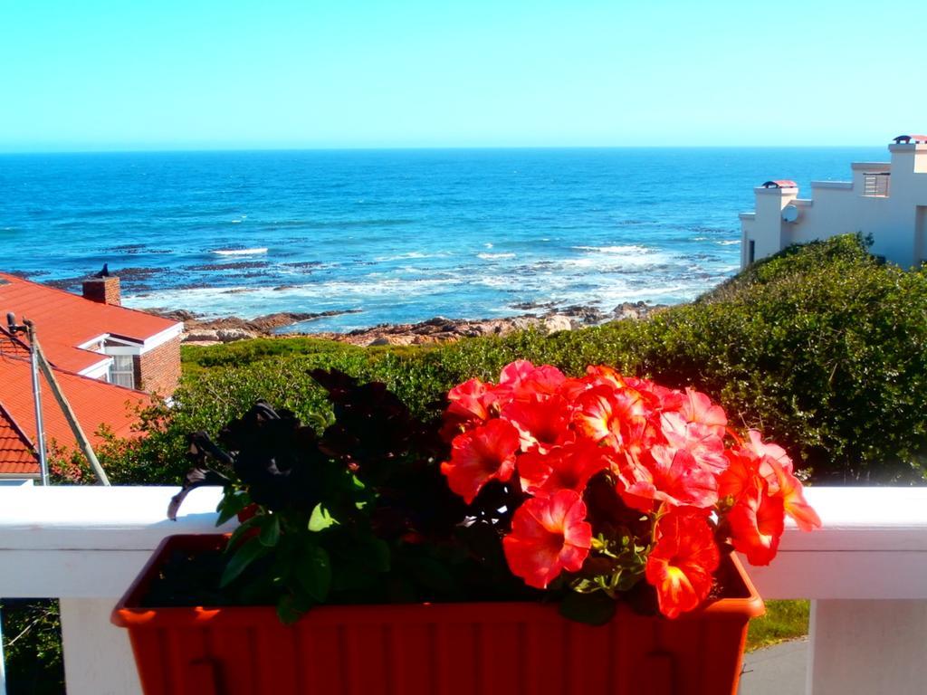 Belle Vue Guesthouse Hermanus Bagian luar foto