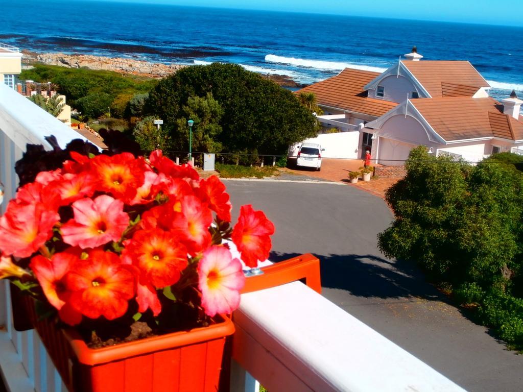 Belle Vue Guesthouse Hermanus Bagian luar foto