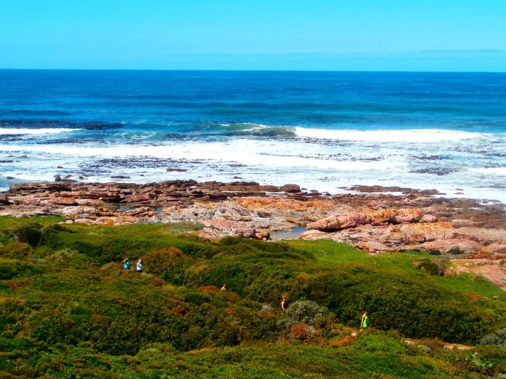 Belle Vue Guesthouse Hermanus Bagian luar foto