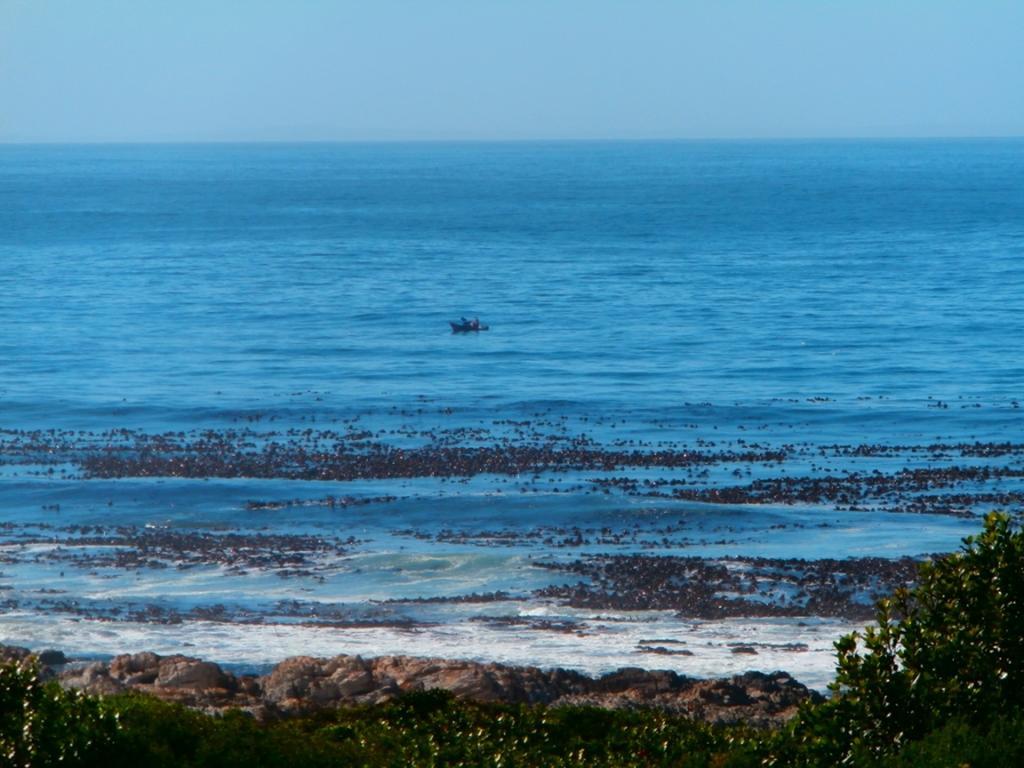 Belle Vue Guesthouse Hermanus Bagian luar foto