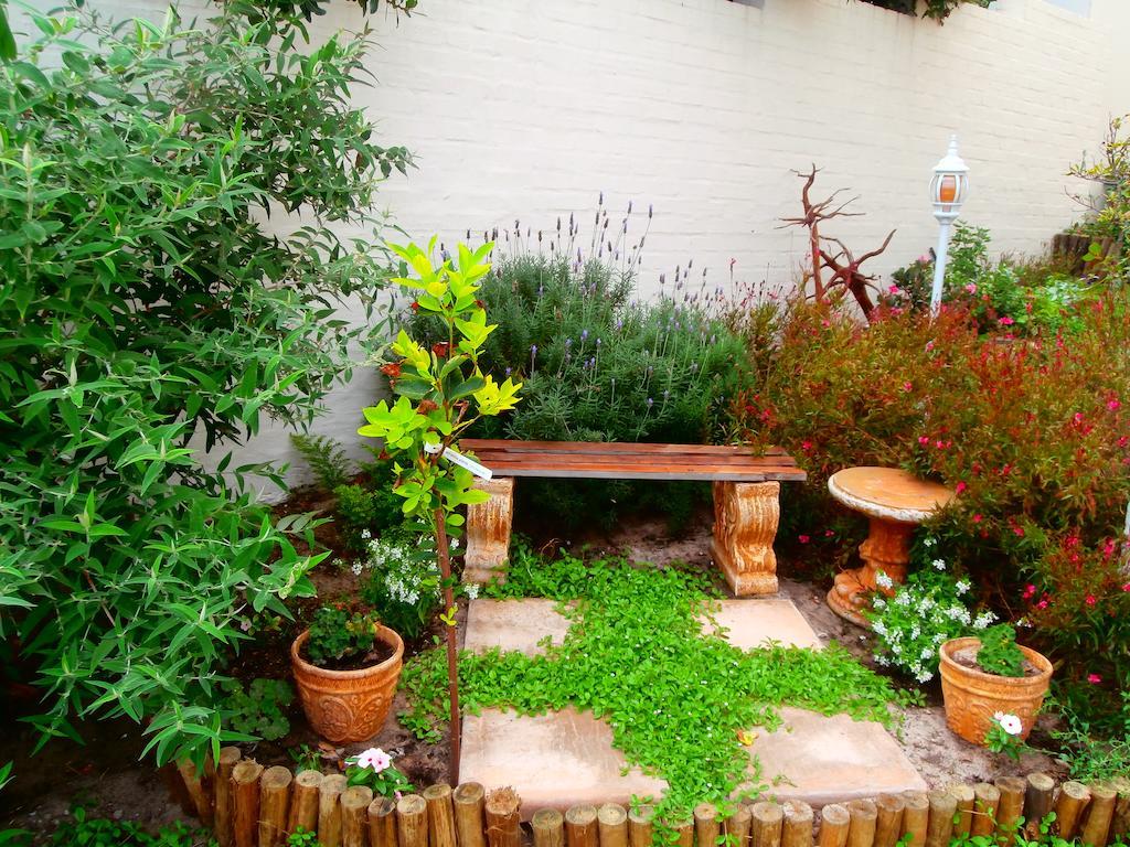 Belle Vue Guesthouse Hermanus Bagian luar foto
